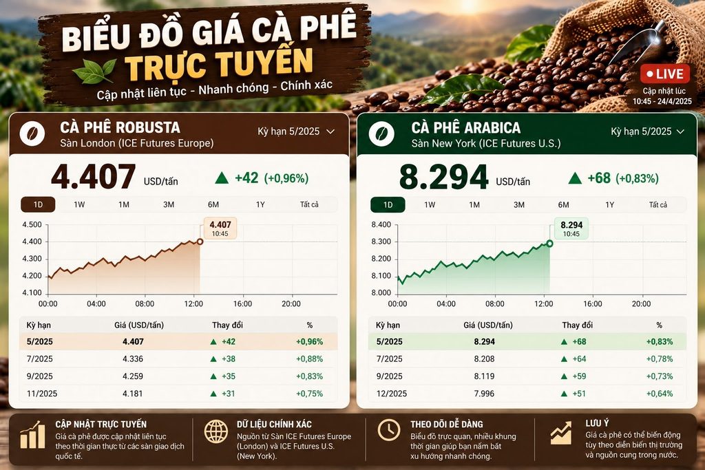 Biểu đồ giá cafe trực tuyến và cách theo dõi biến động