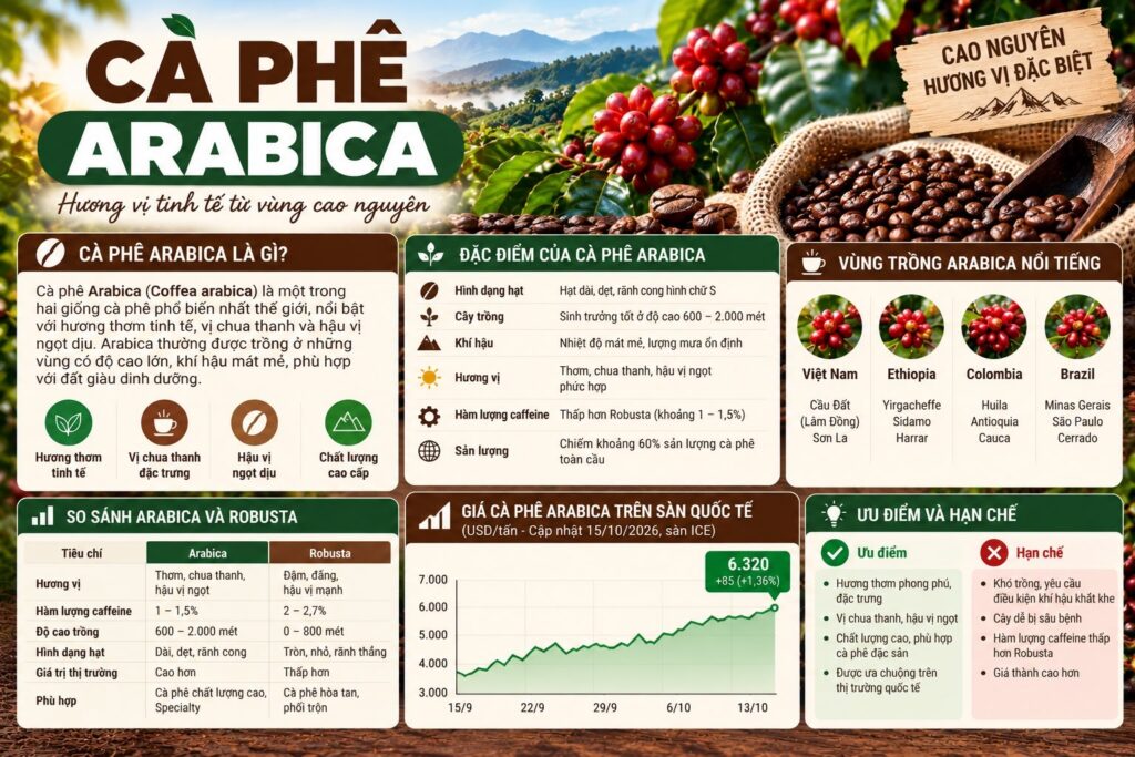 Cà phê Arabica là gì? Hiểu vị chua và chọn hạt hợp khẩu vị