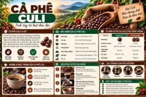 Cà phê Culi là gì? Phân biệt dạng hạt và chọn cách pha