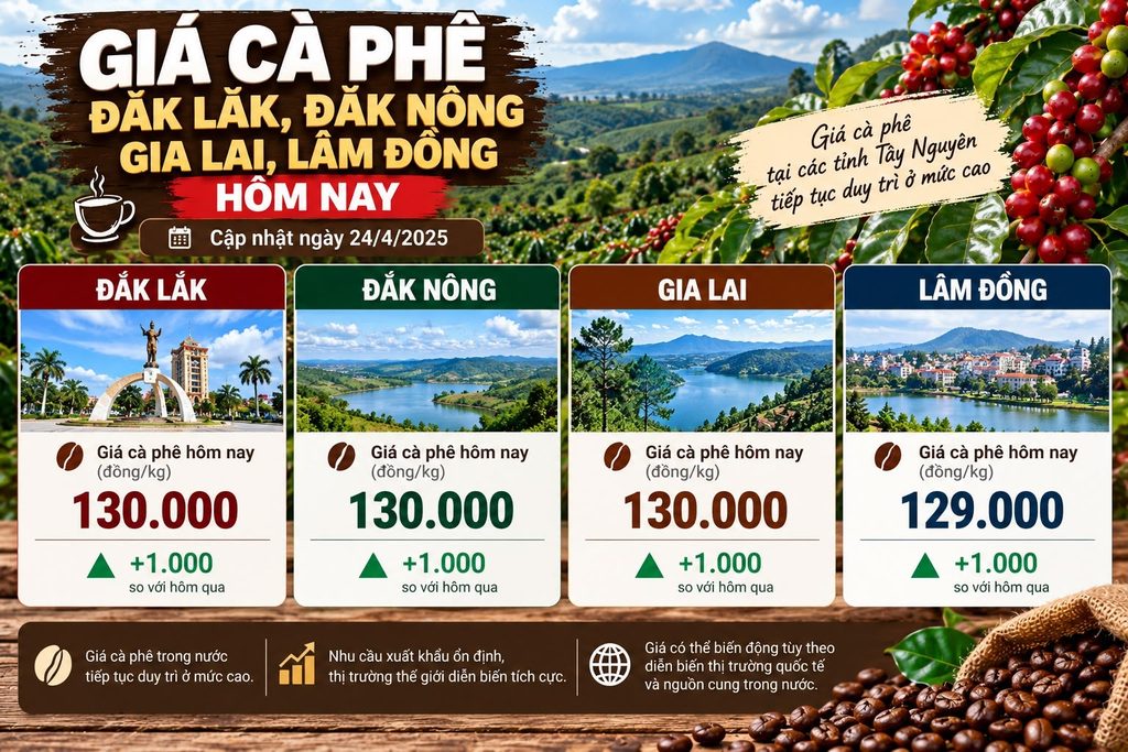 Giá cà phê tại khu vực Tây Nguyên