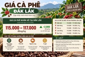 Giá cà phê Đắk Lắk: Cập nhật giá và cách đọc giá thu mua