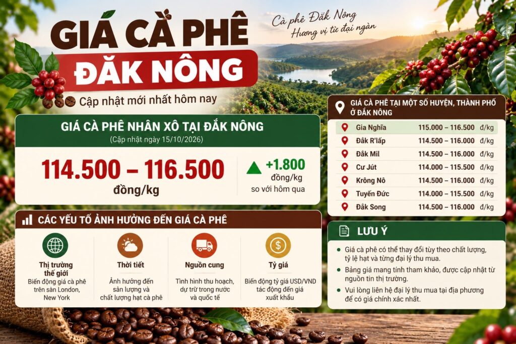 Giá cà phê Đắk Nông: Tra cứu đúng vùng và so sánh báo giá