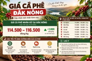 Giá cà phê Đắk Nông: Tra cứu đúng vùng và so sánh báo giá