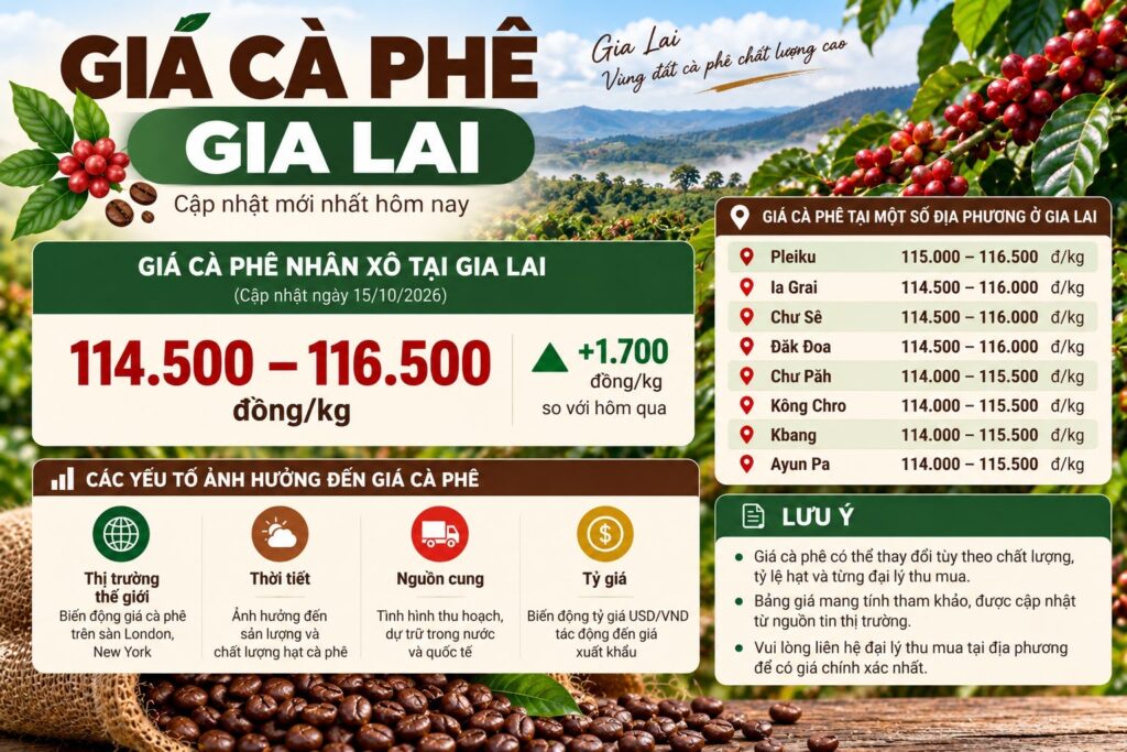Giá cà phê Gia Lai: cập nhật, đọc biến động và kiểm tra nguồn