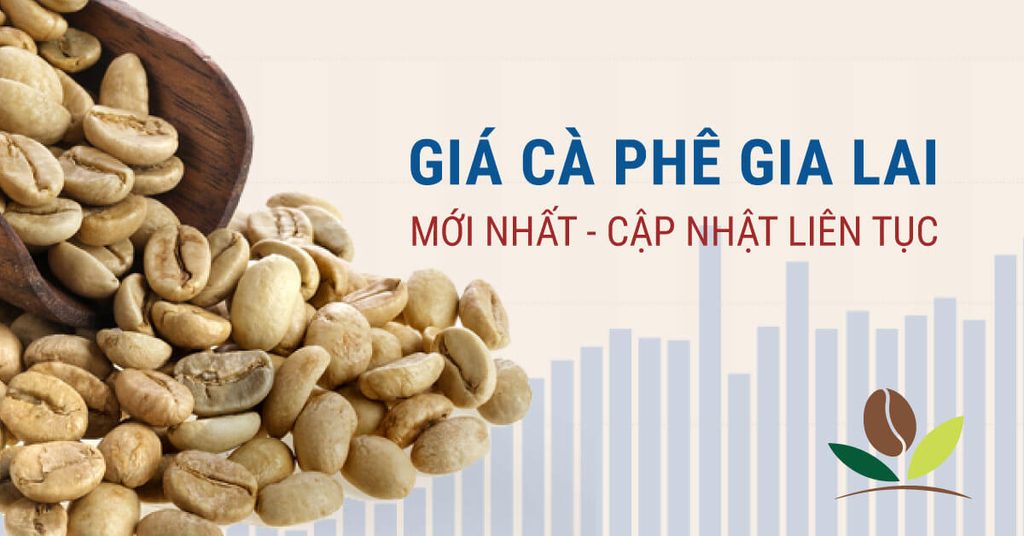 Kiểm tra giá cà phê Gia Lai trực tuyến mới nhất
