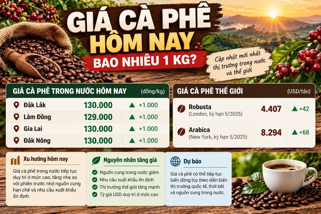 Giá cafe hôm nay thường được công bố theo đơn vị đồng/kg đối với thị trường nội địa.