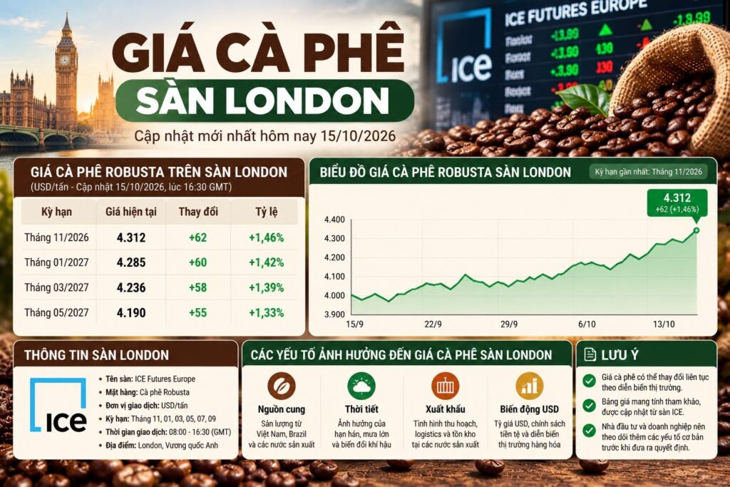 Giá cà phê sàn London: Cách đọc hợp đồng Robusta và quy đổi