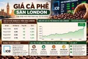 Giá cà phê sàn London: Cách đọc hợp đồng Robusta và quy đổi