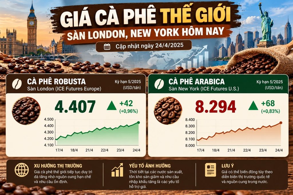 Giá cà phê Robusta và Arabica tại các sàn London và New York