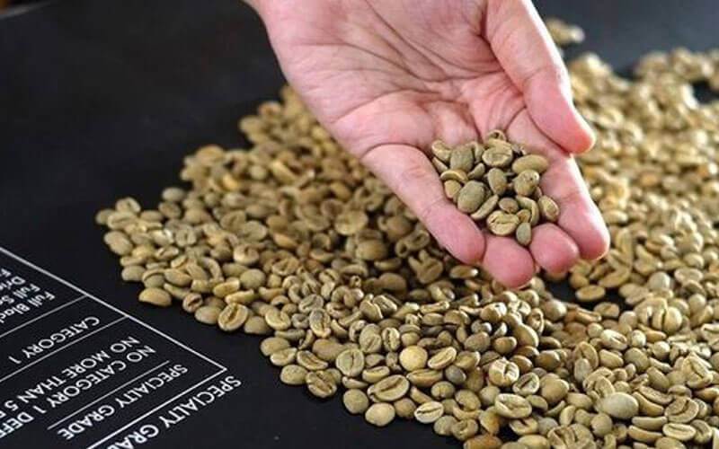 Lập nhật ký giá riêng cho vùng hàng của bạn